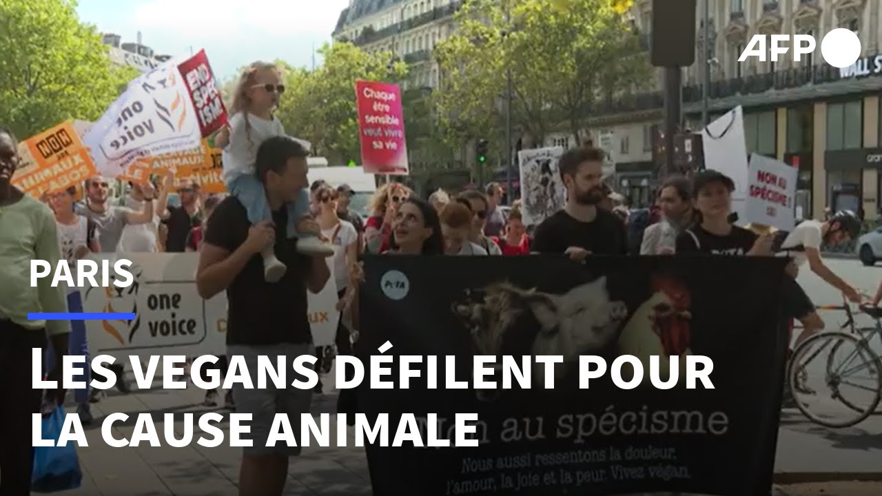 Journ&eacute;e mondiale pour la fin du sp&eacute;cisme : des militants vegans d&eacute;filent pour la cause animale | AFP