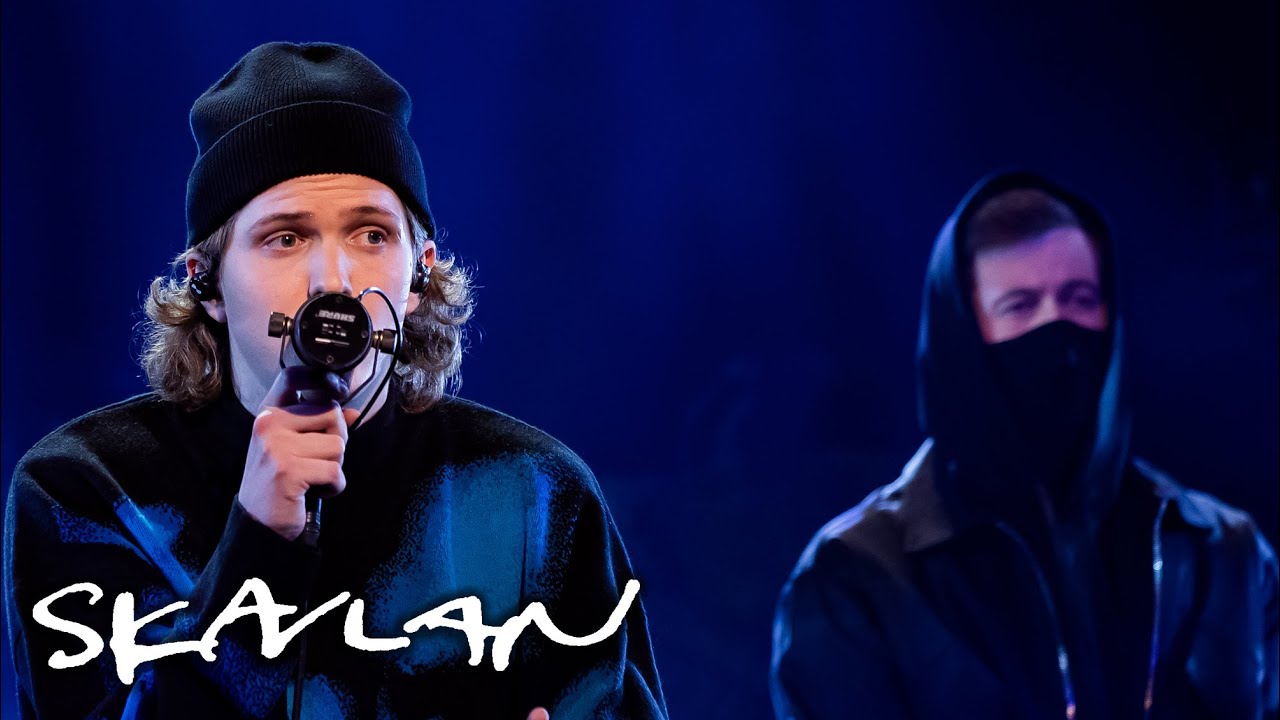 Alan Walker performs 