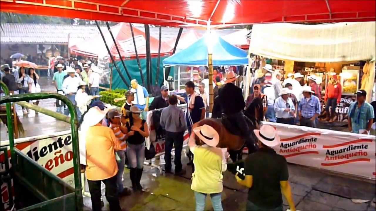 PRODIGIO DE MARIA ROSA  MONTADO POR CARLOS MARIO  CADAVID COMPARTIO CON LOS AFICIONADOS DEL AURELIO