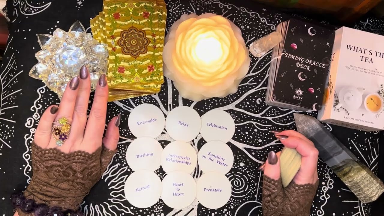 Nancy Guthrie Disappearance, Psychic Tarot Reading 
