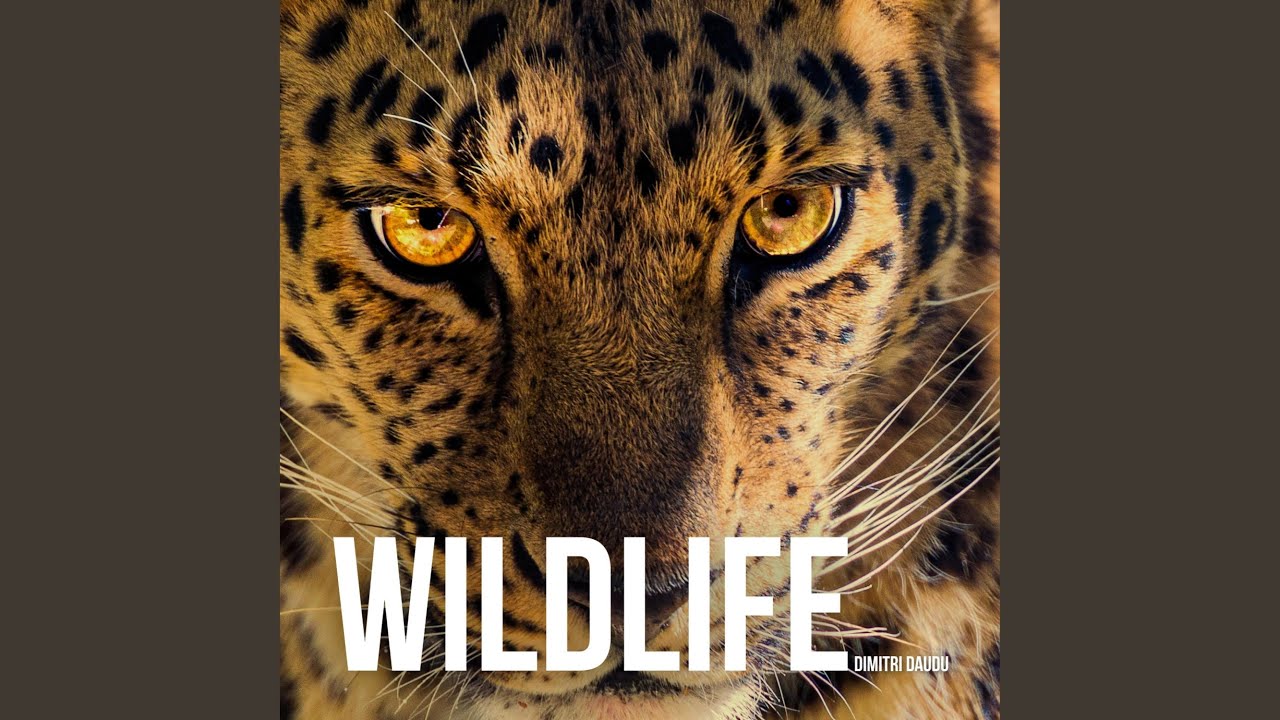 Wildlife (Main Theme)
