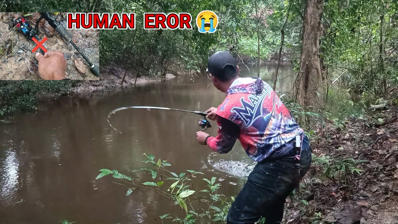 DI LUAR PERKIRAAN ❗ Ternyata ikan besar  #mancing baung