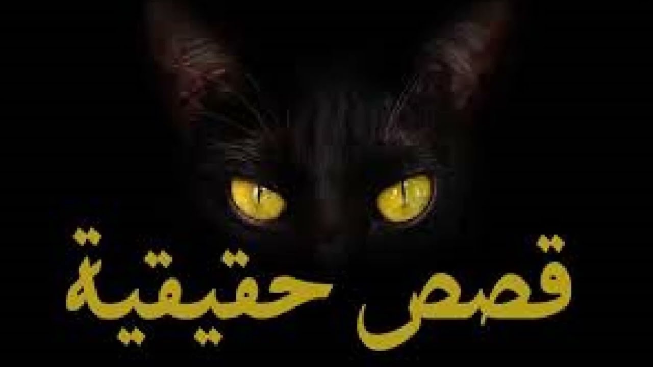قصص حقيقية حدثت بالفعل منذ عامين من تجارب المستمعين (  إعادة صياغة )