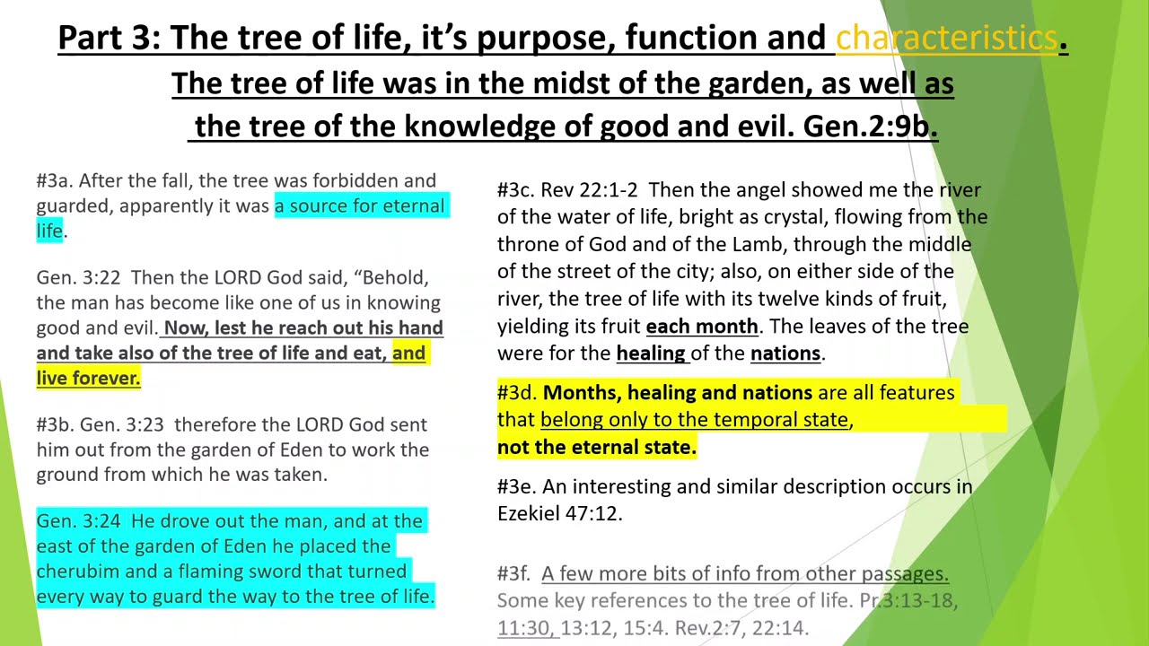 Believers and the Tree of Life