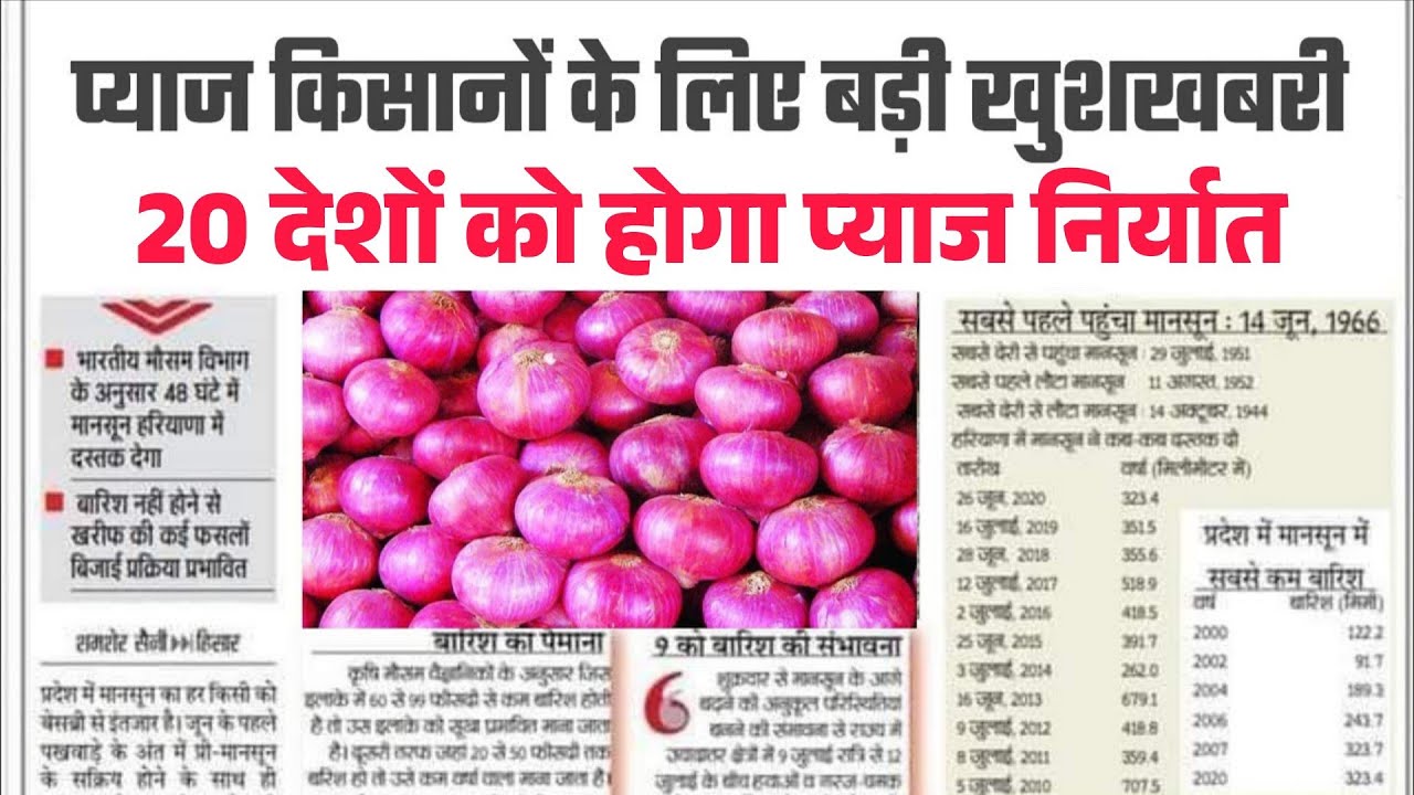 प्याज के भाव में बड़ा बदलाव /अचानक आई तेजी onion price today प्याज रेट onion