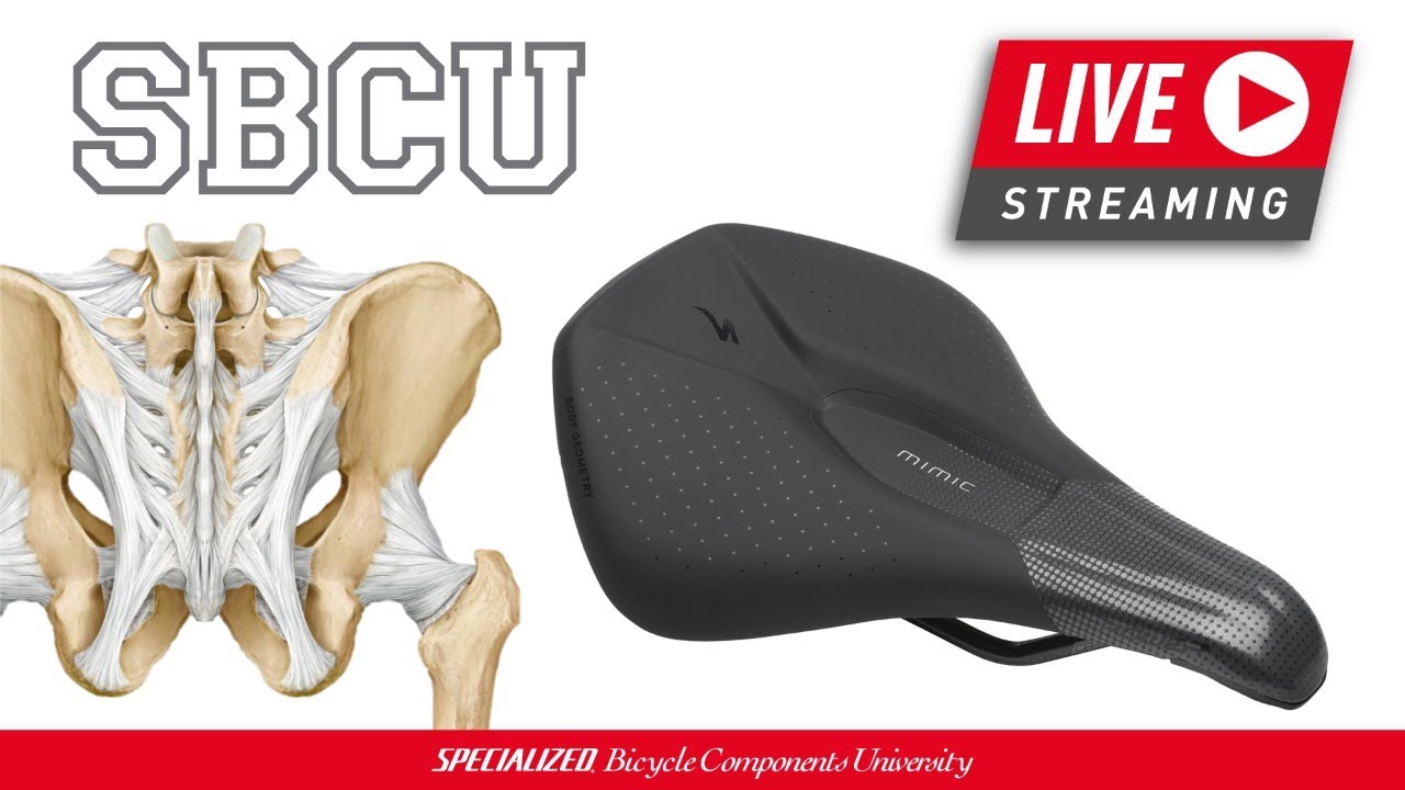 Specialized Live - Body Geometry Selles