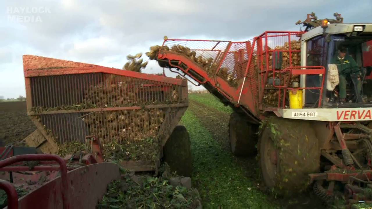 BC17 Beet Chaser from Richard Western