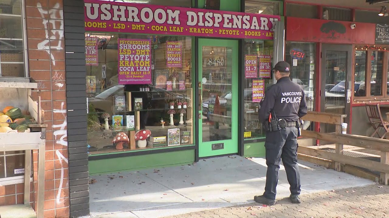 Mushroom Dispensary Battle: Activist Dana Larsen Fights B.C. Gov't Over Seized Psilocybin