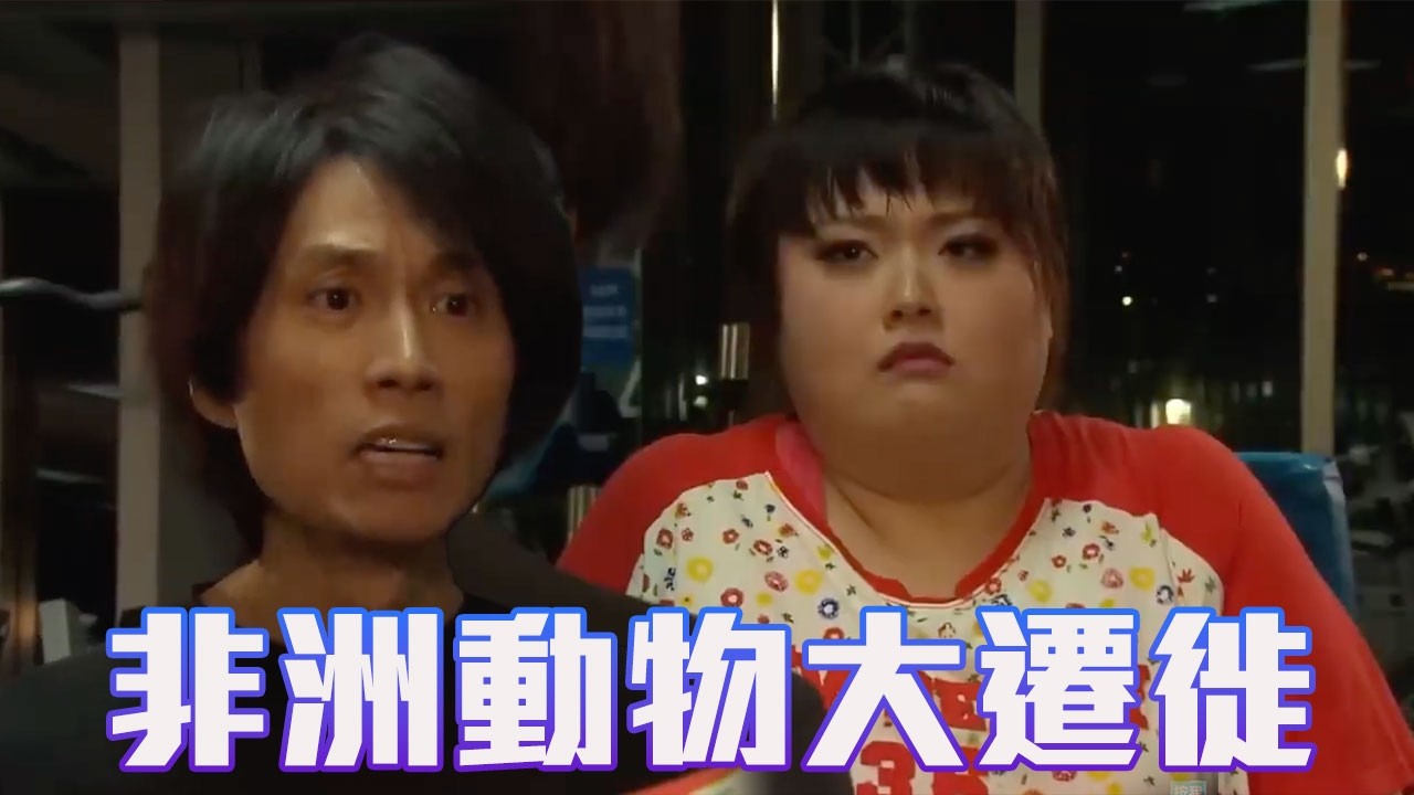 好多人見到你簡直就同非洲動物大遷徙冇分別｜My盛Lady｜黃子華｜徐子珊｜爆笑｜金句｜盛女｜港男