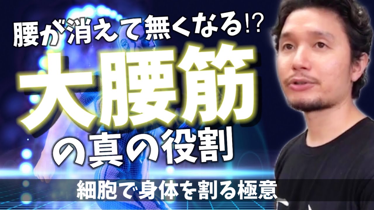 【大腰筋】9割の人が知らない真の役割 | 腰を消して、細胞で身体を割る極意！