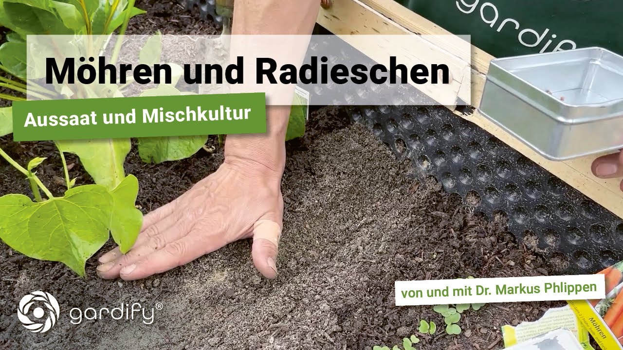 Gem&uuml;se selbst anbauen- M&ouml;hren & Radieschen ins Hochbeet auss&auml;en mit Tipps zu Erde, Standort & Kultur