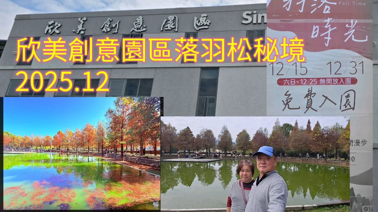 南投縣名間鄉，欣美創意園區落羽松秘境(期間限定開放)（12／15）（12／31）.