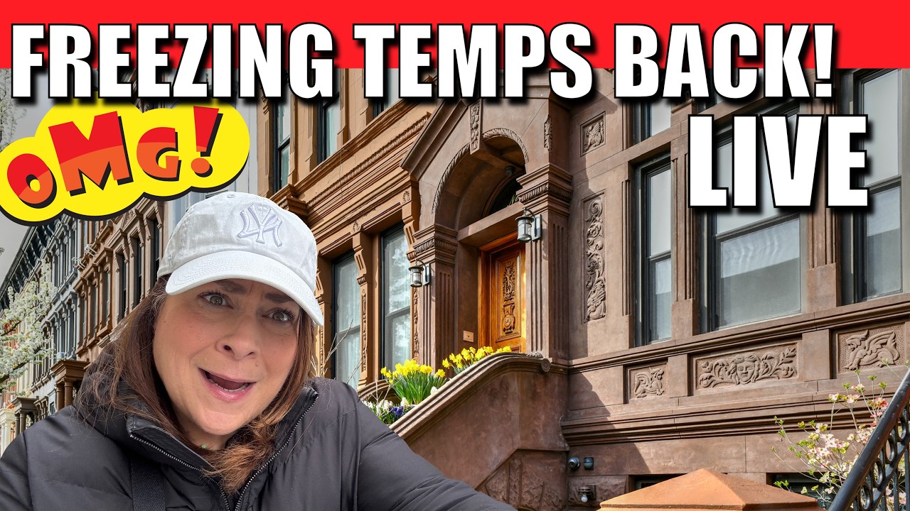 LIVE 🔴 Freezing Temps are BACK! How will we survive? 🥶 #NYC #lunarnewyear #2026