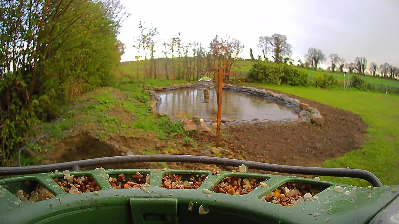 Carlow Weather Live Stream #BirdfyLive