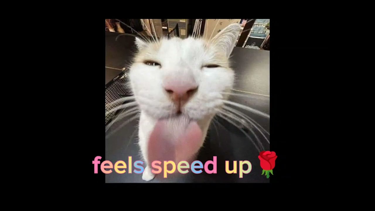 feels (speed up) 1 h🌹