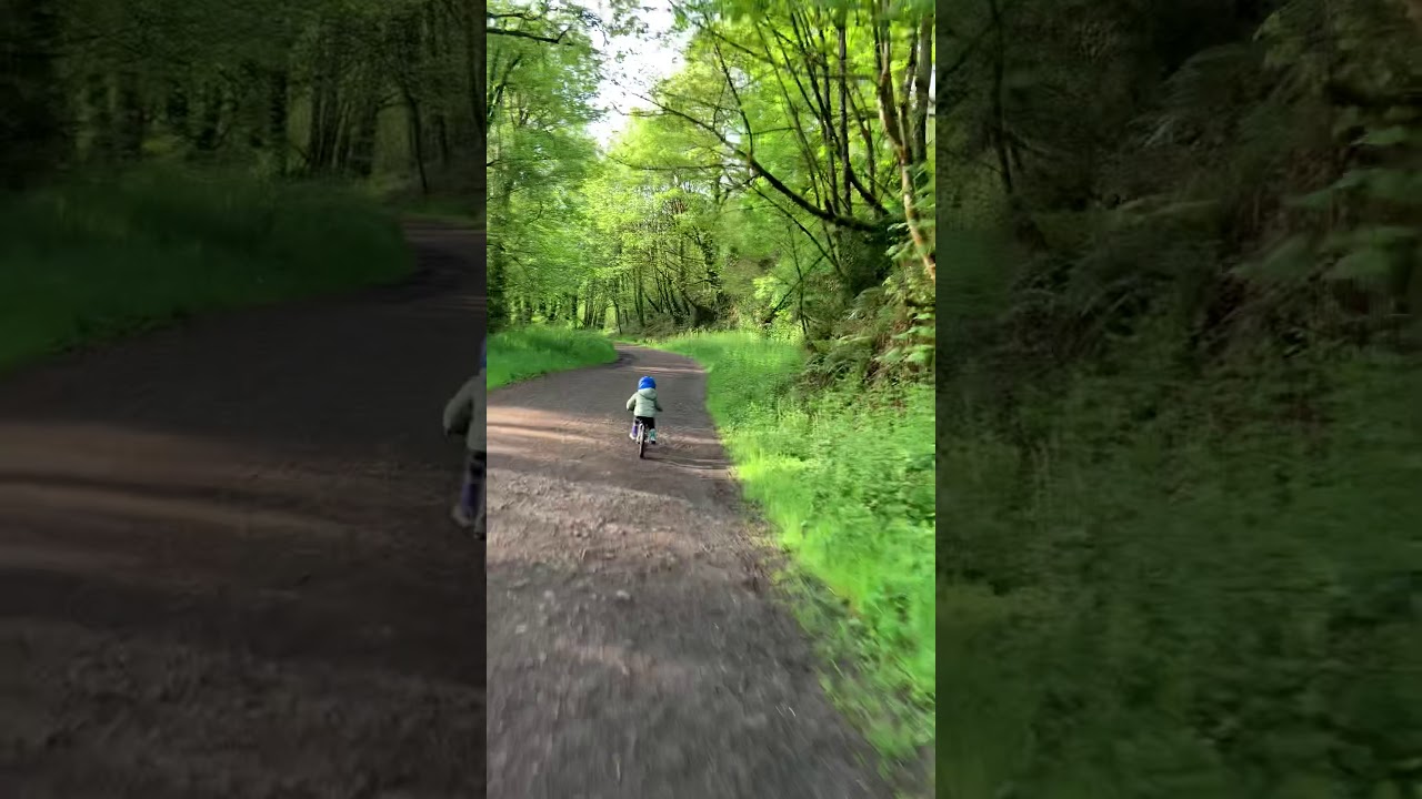 3 year old riding Early Rider Bike (Seeker 14) without training wheels!