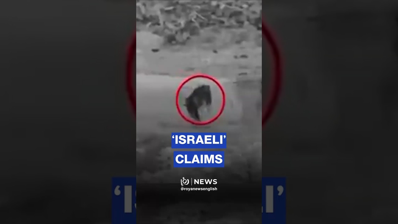 &lsquo;Israeli&rsquo; army claims striking fighters who emerged from north Gaza tunnel