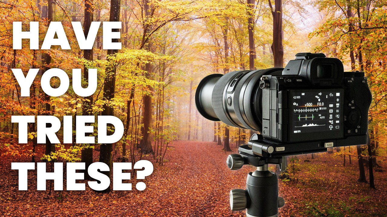 10 Autumn Photography Tips You Must Try This Season!