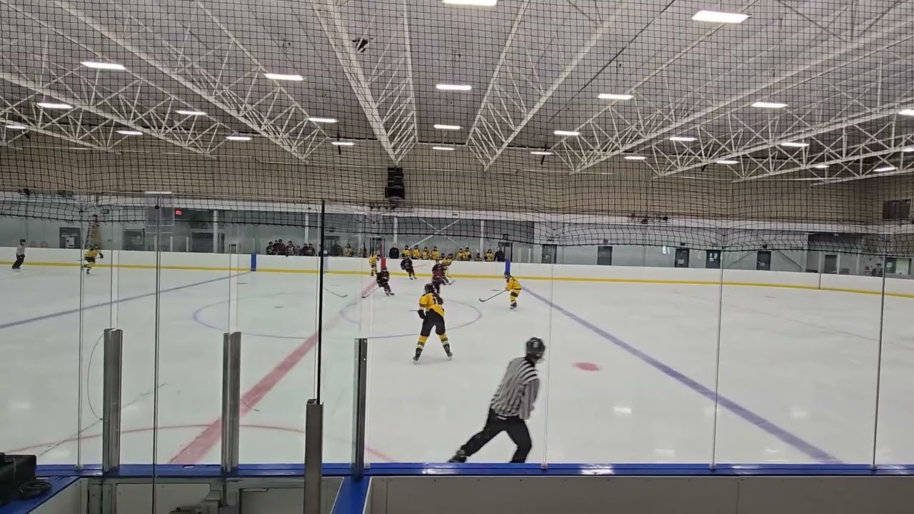 WILDCATS vs. SUNSHINE COAST 