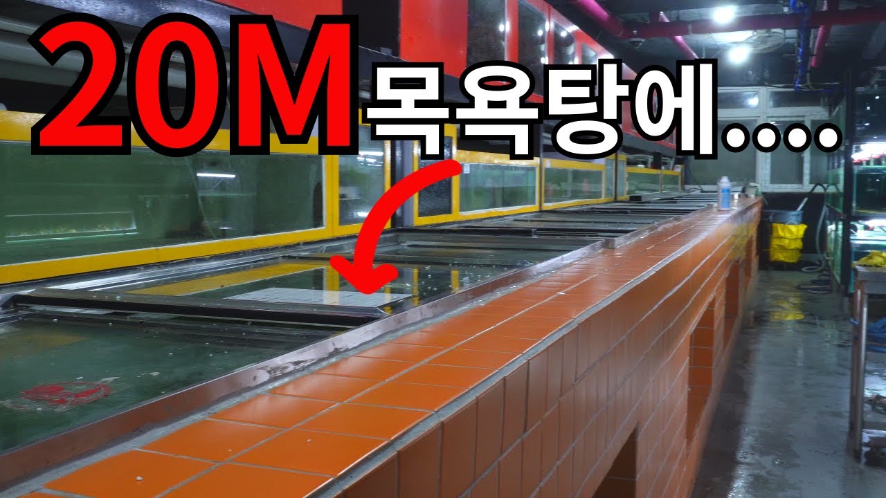 서울에서 제일큰 수족관에 갔다가 너무 커서 길 잃었습니다...ㄷㄷ