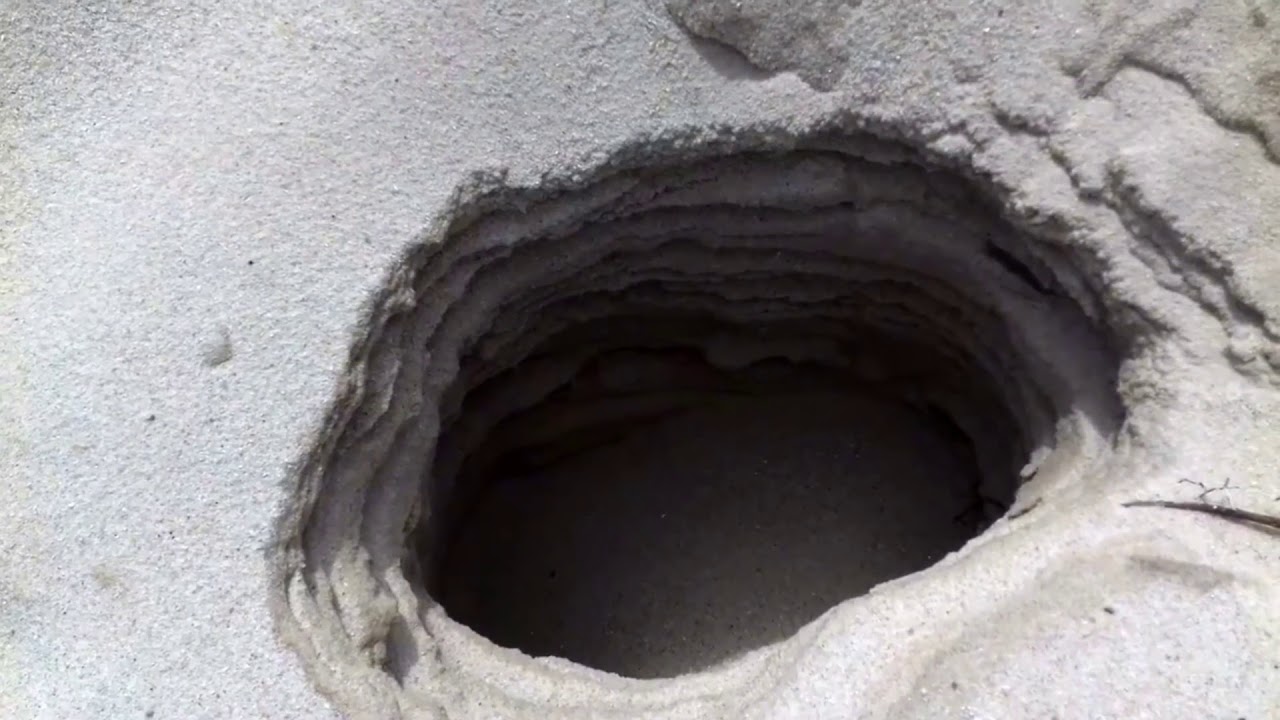 H&ouml;rnum im Juni | Nordfriesland | Sylt | Wattenmeer | Schleswig-Holstein