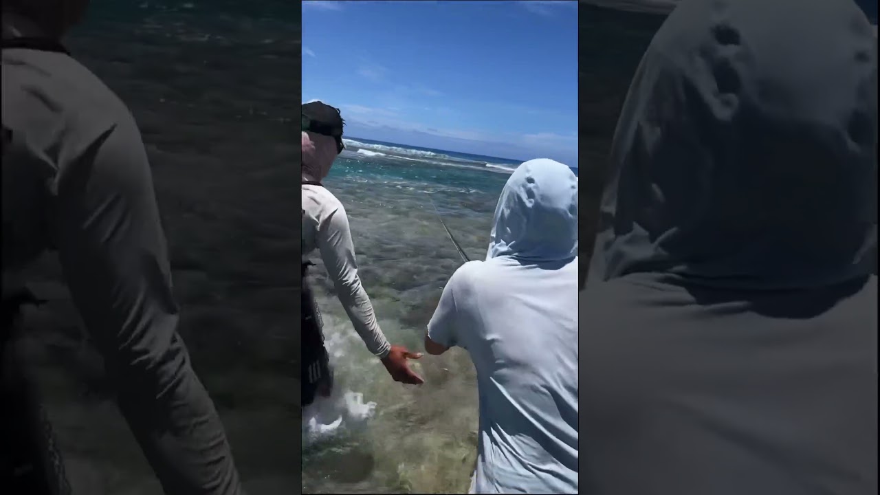 Girl vs GT #flyfishing #gtfishing