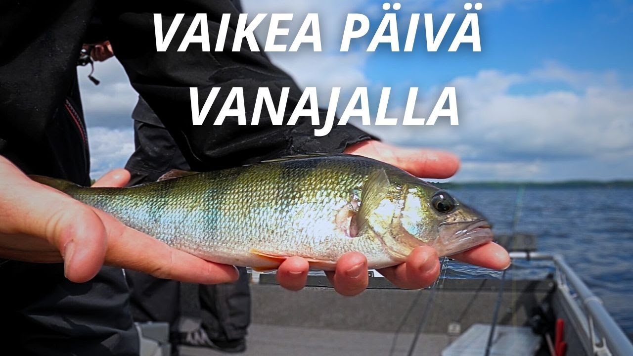 AHVENTA ETSIMÄSSÄ | VANAJAVESI