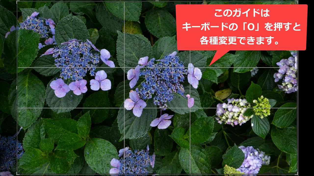 黄金分割比率の構成ポイント