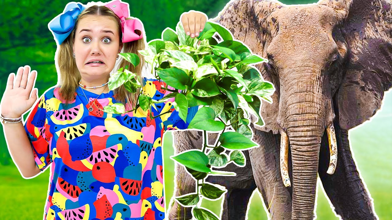 Ruby and Bonnie Safari Drive Thru And Sleeping Overnight With Animals