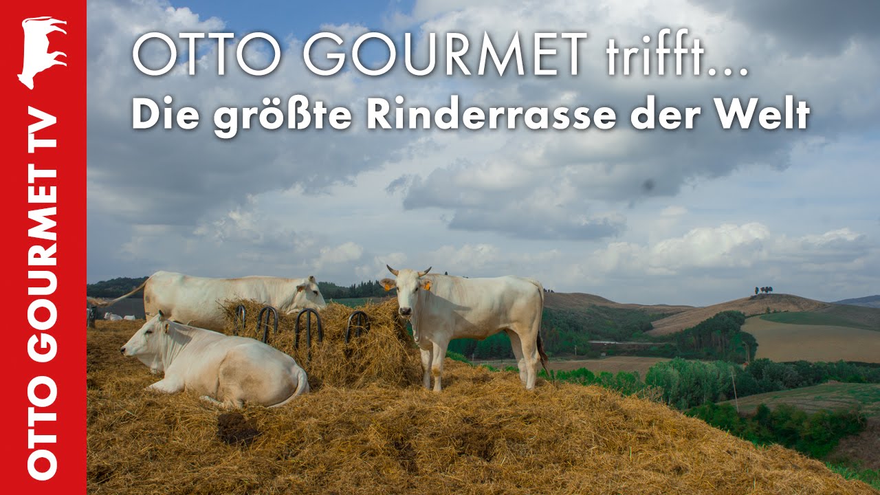 Chianina aus der Toskana - Der Bistecca Klassiker