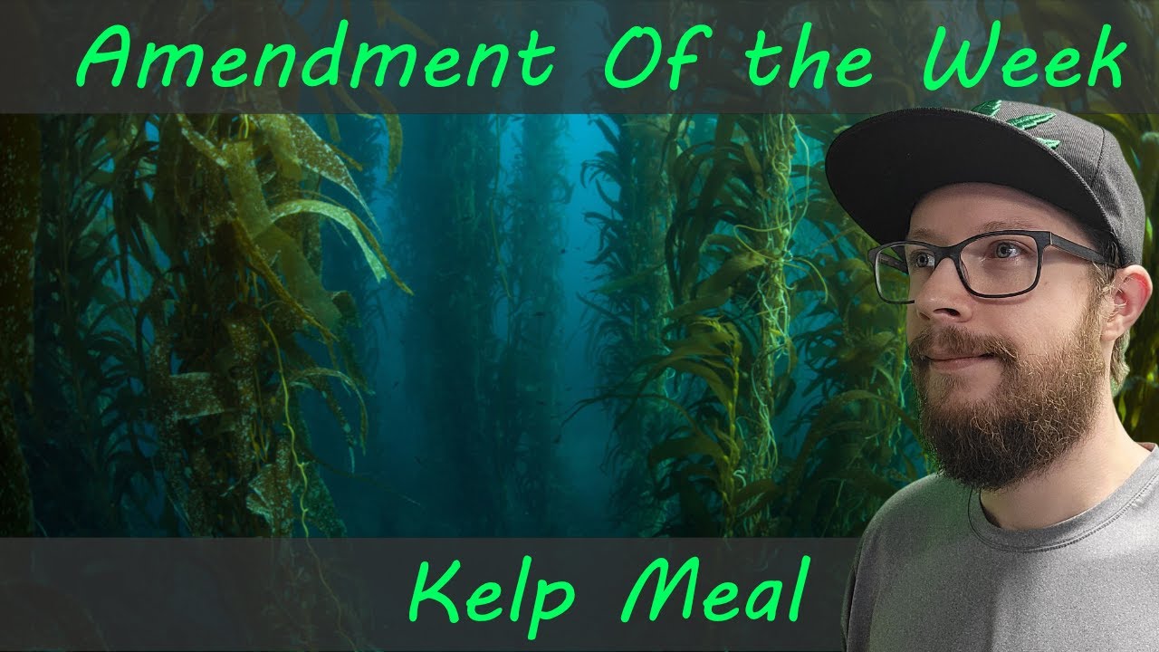 Amendment Of The Week: Kelp A Closer Look