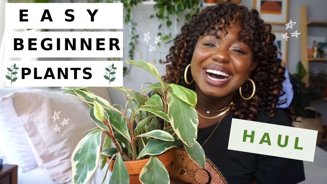 Houseplants That Even YOU Can't Kill | Easy Houseplants for Beginners 🌱