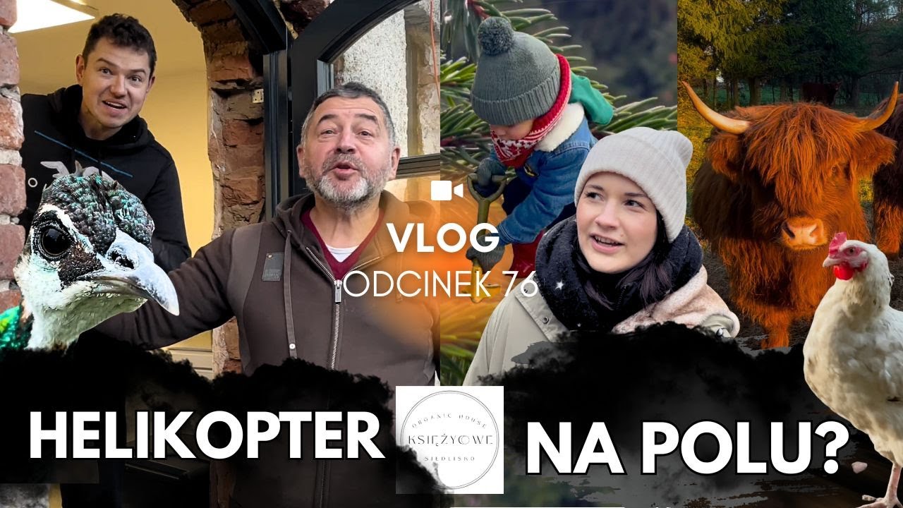 ODCINEK 76: USPRAWNIANIE SIEDLISKA | PRZEPROWADZKA KRÓW | KOMEDIA JAK ZAWSZE! 🪵🐂🌲