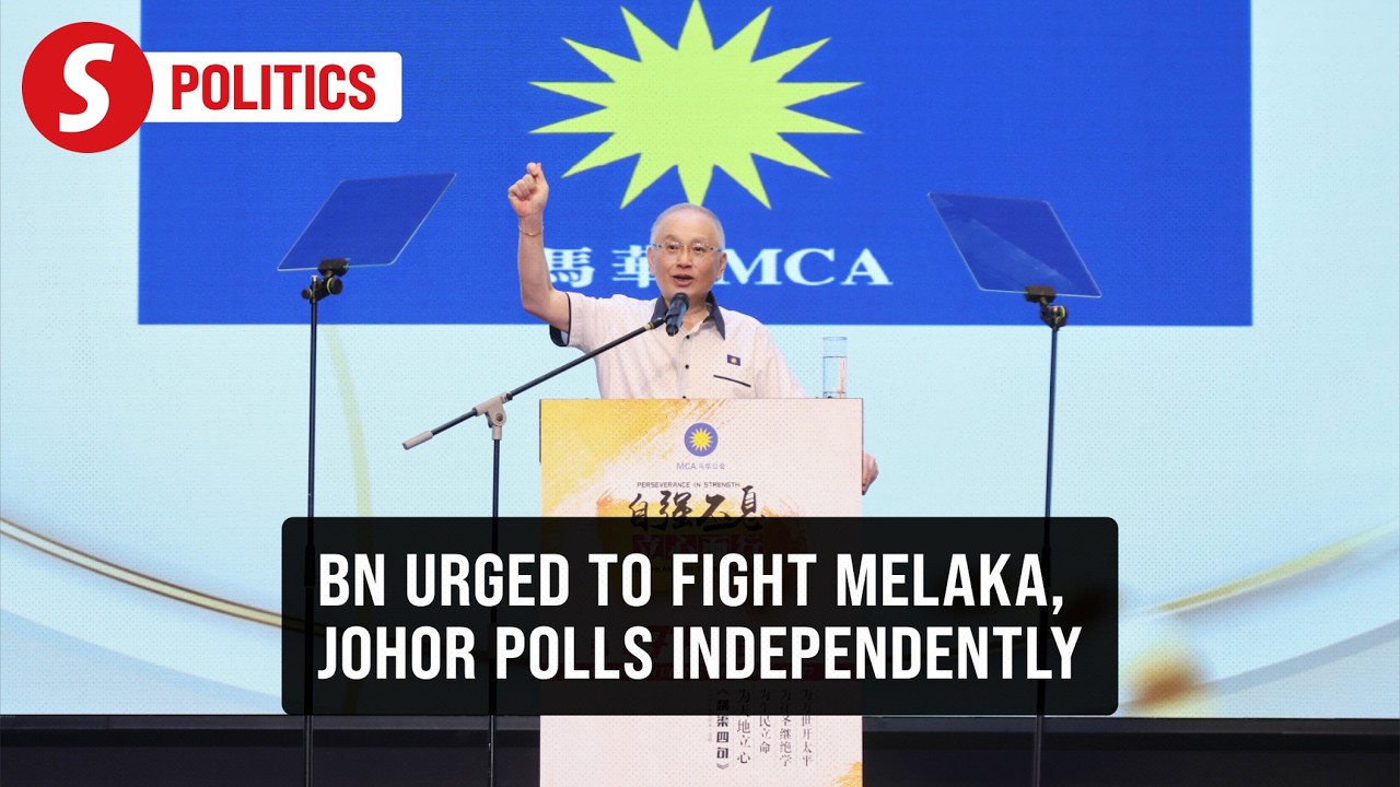 BN should contest Melaka and Johor polls under its own banner, says Dr Wee
