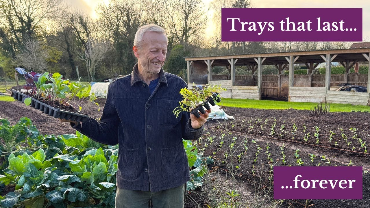 Easy Re-Use and Less Potting Mix Needed for my Module Trays from Containerwise