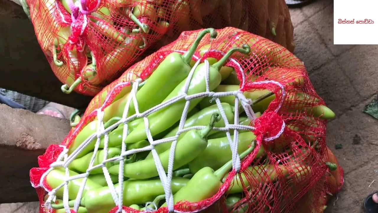 කීල්ස් එකත් එක්ක එකතු වෙලා එළවළු බිස්නස් කරමු - Let's do vegetable business together with Keells