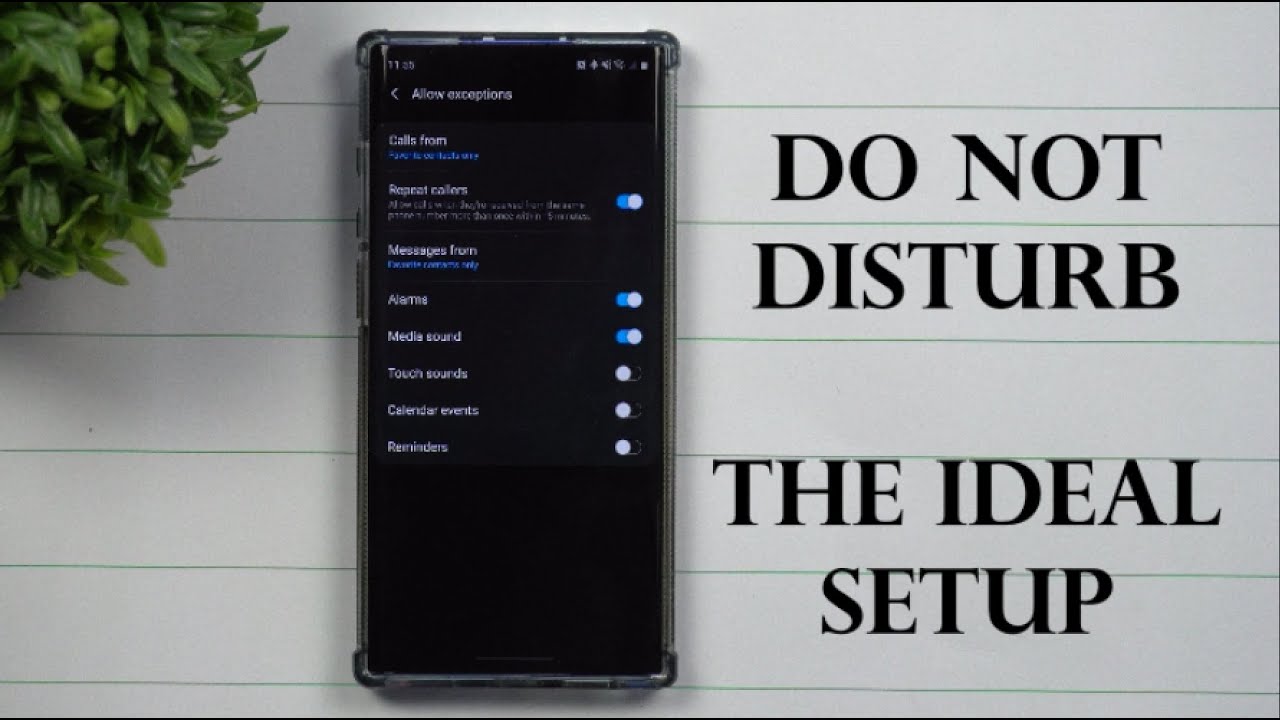 The Ideal Setup - Do Not Disturb