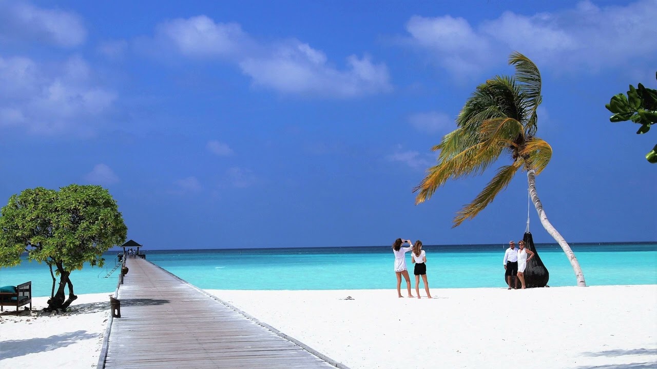 🎵 Islands in the Sun Maldives