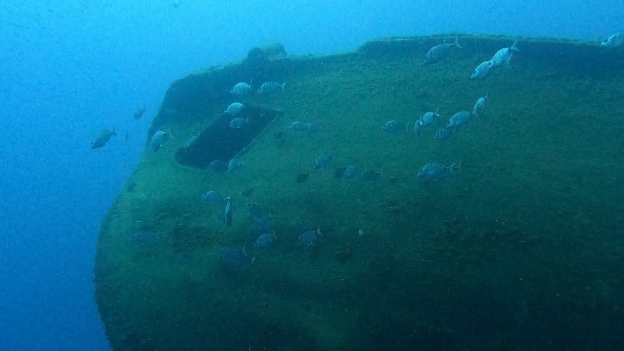 Tabaiba wreck