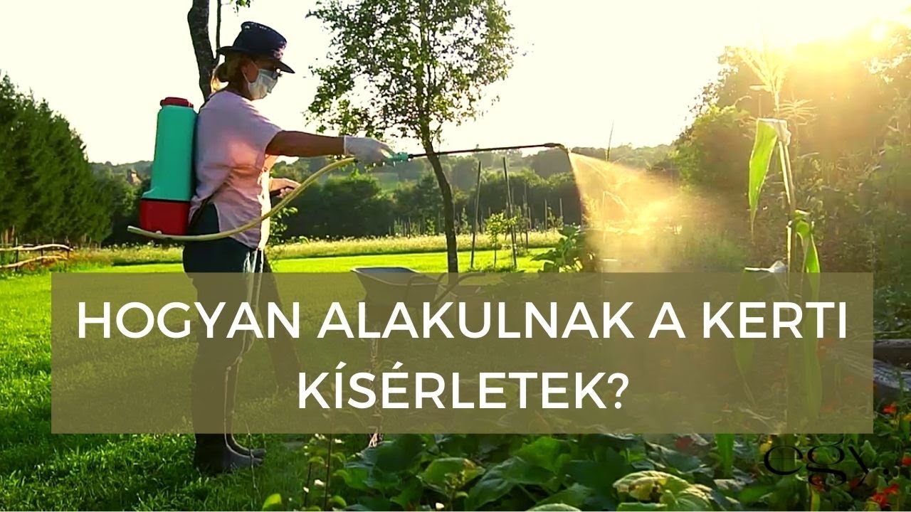 Borbás Marcsi: Kertem - Így alakulnak a kerti kísérletek (23. rész)