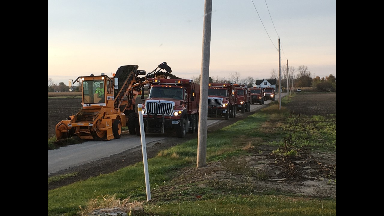 Ditch Cutting and dirt work,
