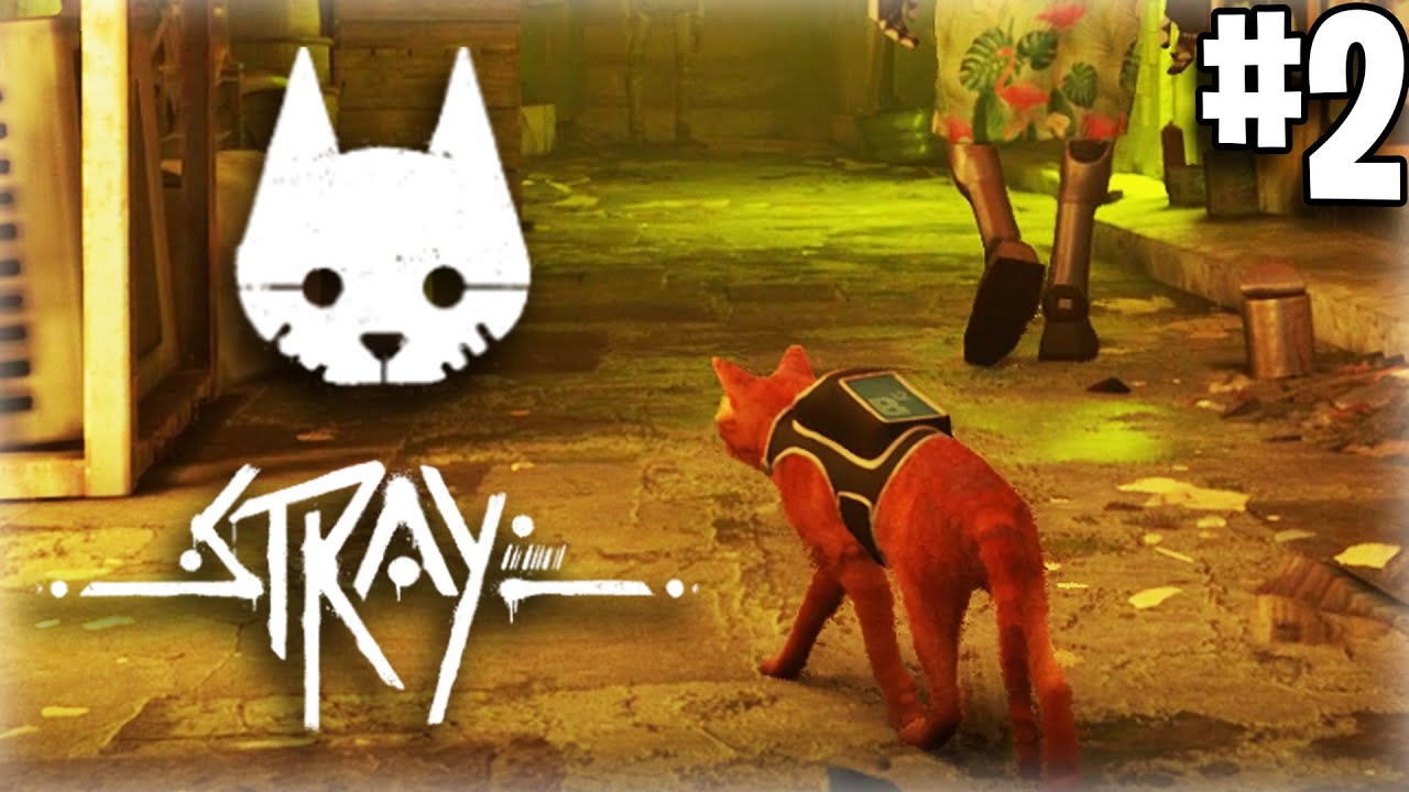 LA CIBERCIUDAD, MOMO, DOC y SEAMUS | STRAY Gameplay Parte 2 | Gabbonet