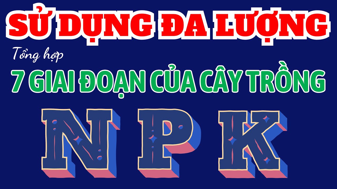 Tổng hợp cách chọn phân bón ĐA LƯỢNG cho 7 giai đoạn của cây trồng | Phân bón qua gốc và phun qua lá