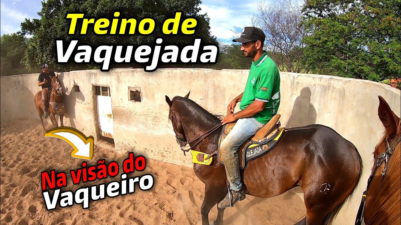 TREINO DE VAQUEJADA | botando a tropa em ordem pra mais uma vaquejada. O DIA DIA DO VAQUEIRO.