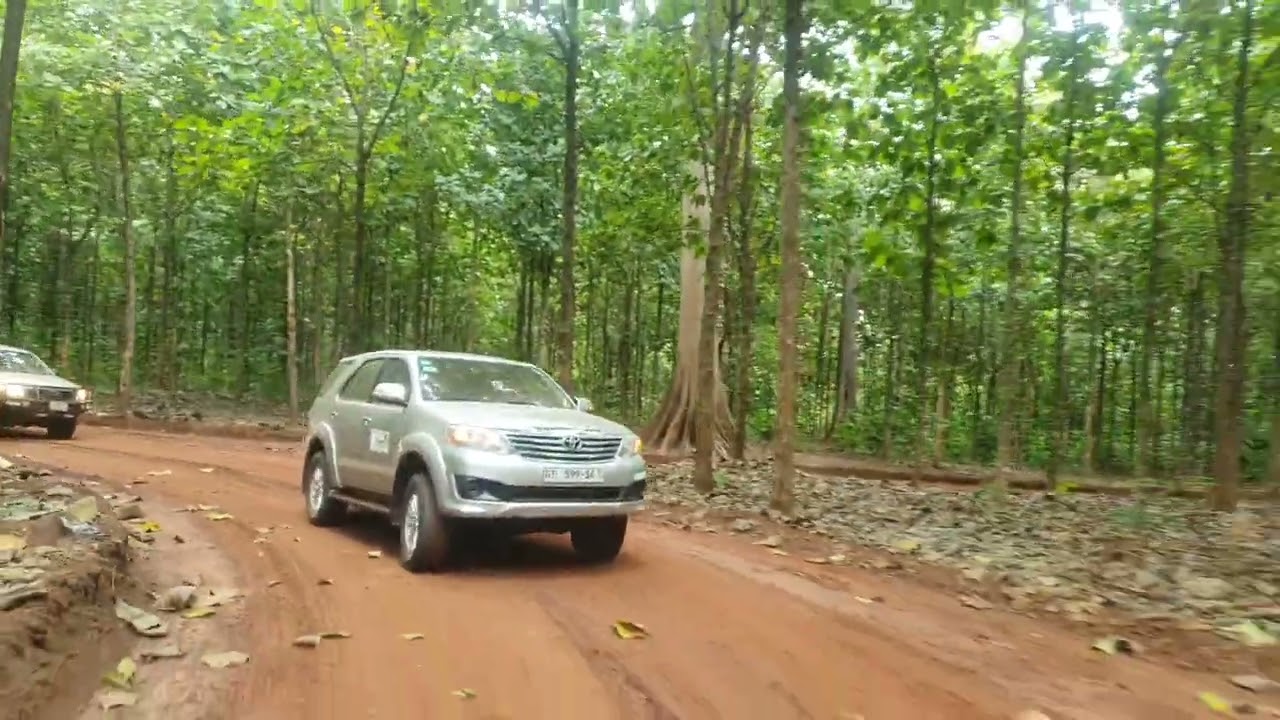 Form Ghana Teak plantation - Sep. 2022