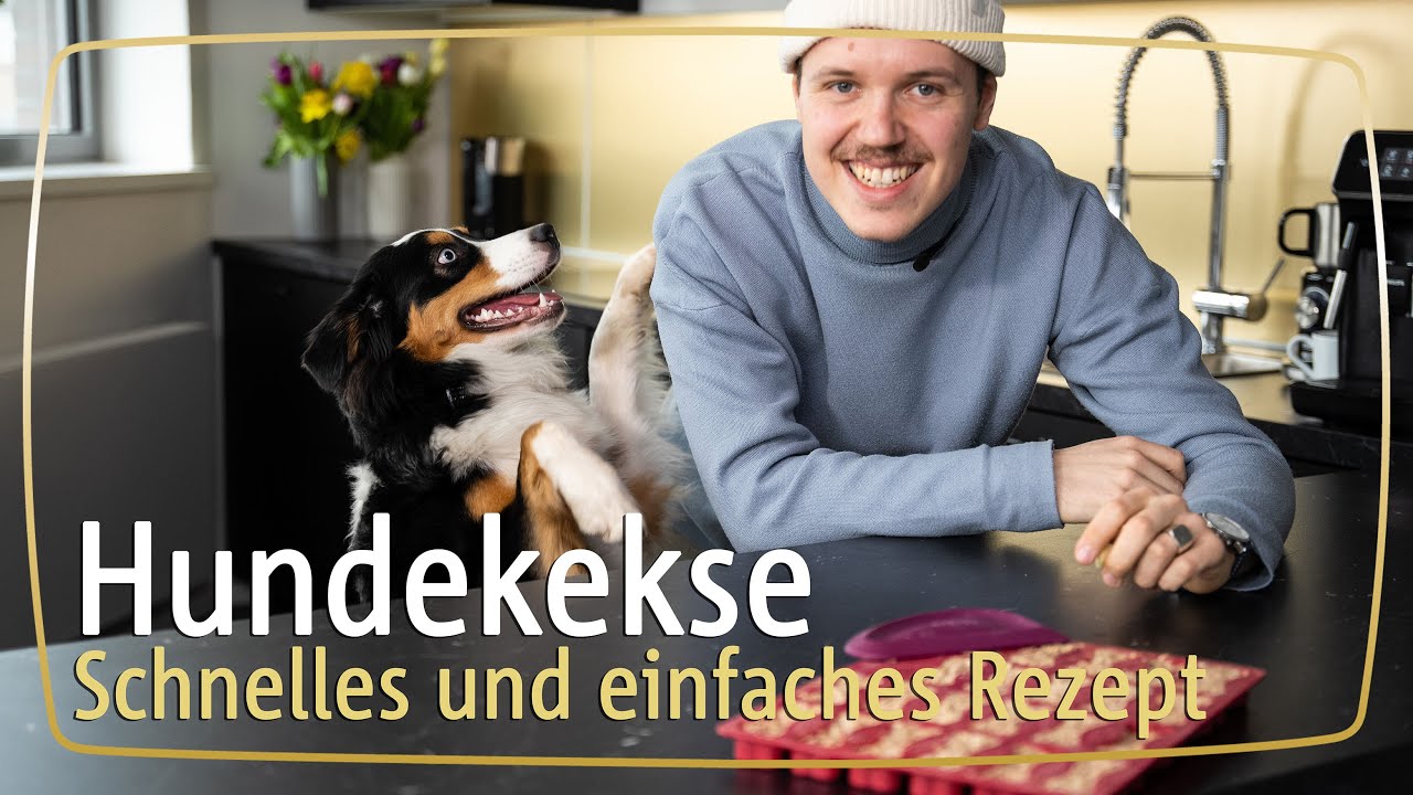 DIY Hundekekse - Schnell und einfach selbstgemacht