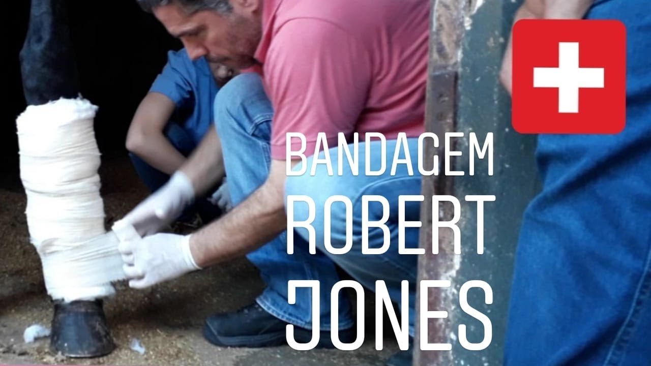 POR DENTRO DO BICHO | BANDAGEM ROBERT JONES - COMO SE FAZ E PARA QUE SERVE