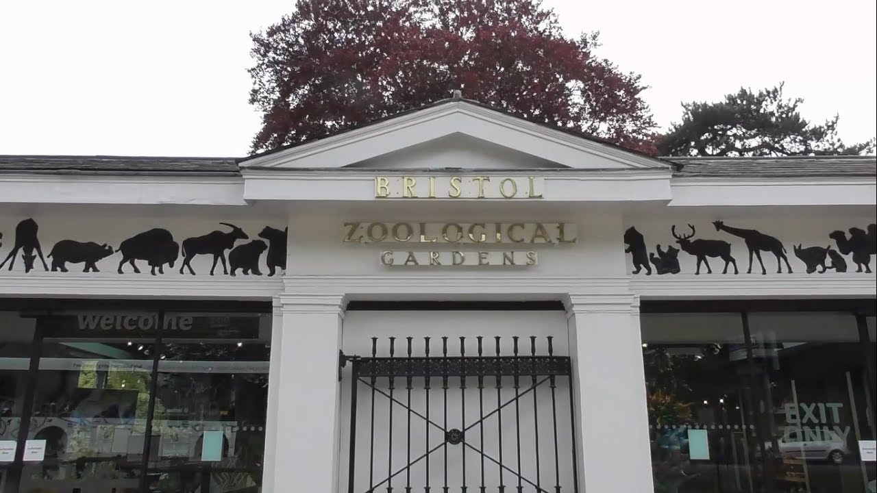 Bristol Zoo, April 2019