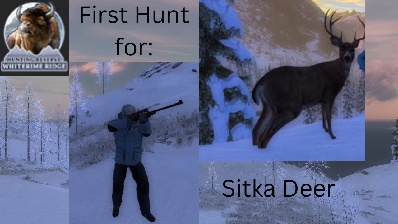 First Hunt for:  Sitka Deer | TheHunter Classic
