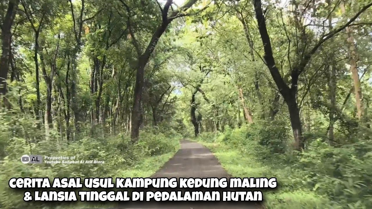 Perjalanan Membelah Hutan Jati Blora Selatan 